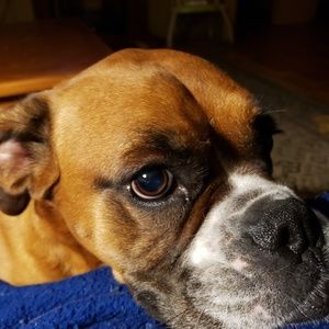 Meet your Posher, Vickie